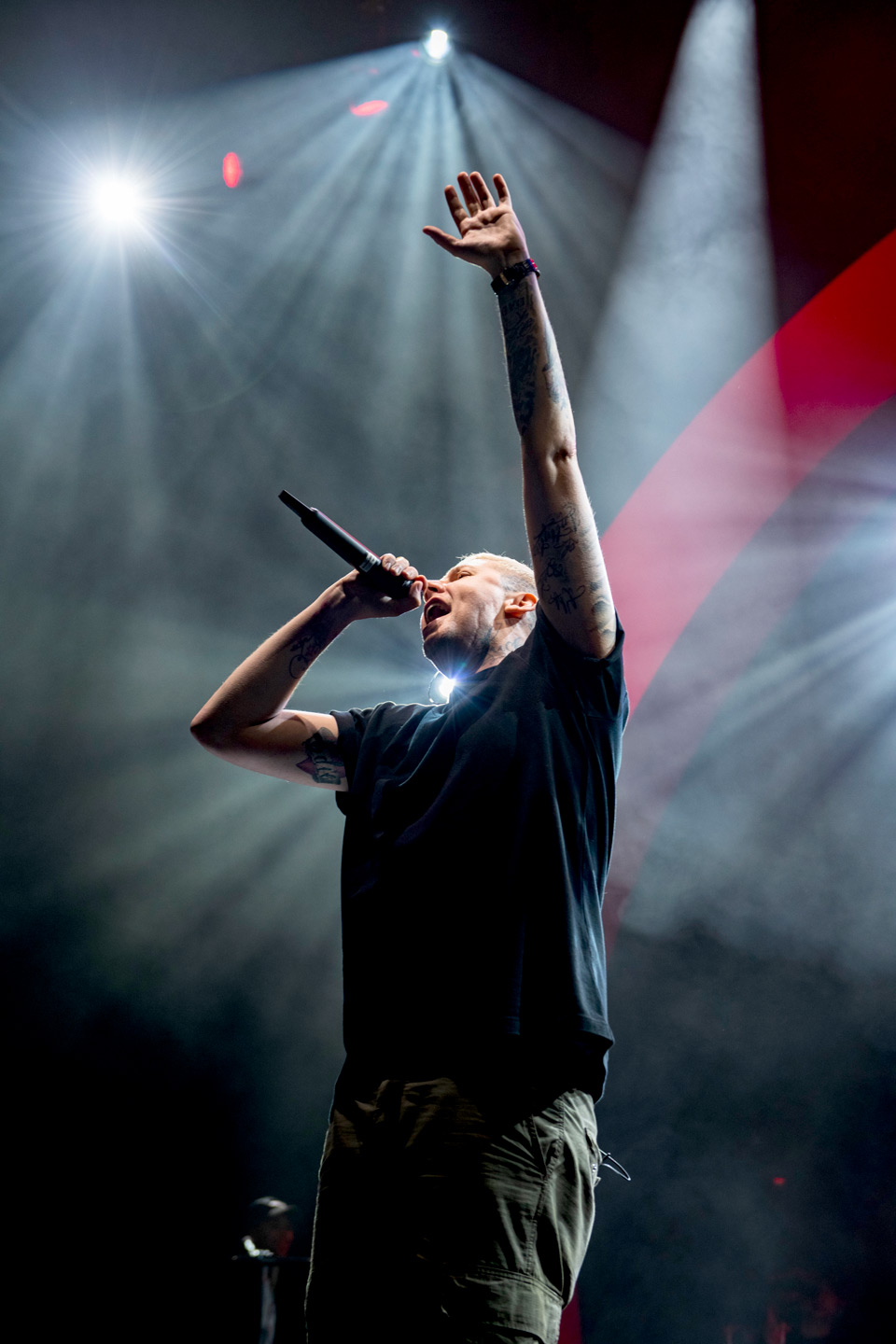 Professor Green