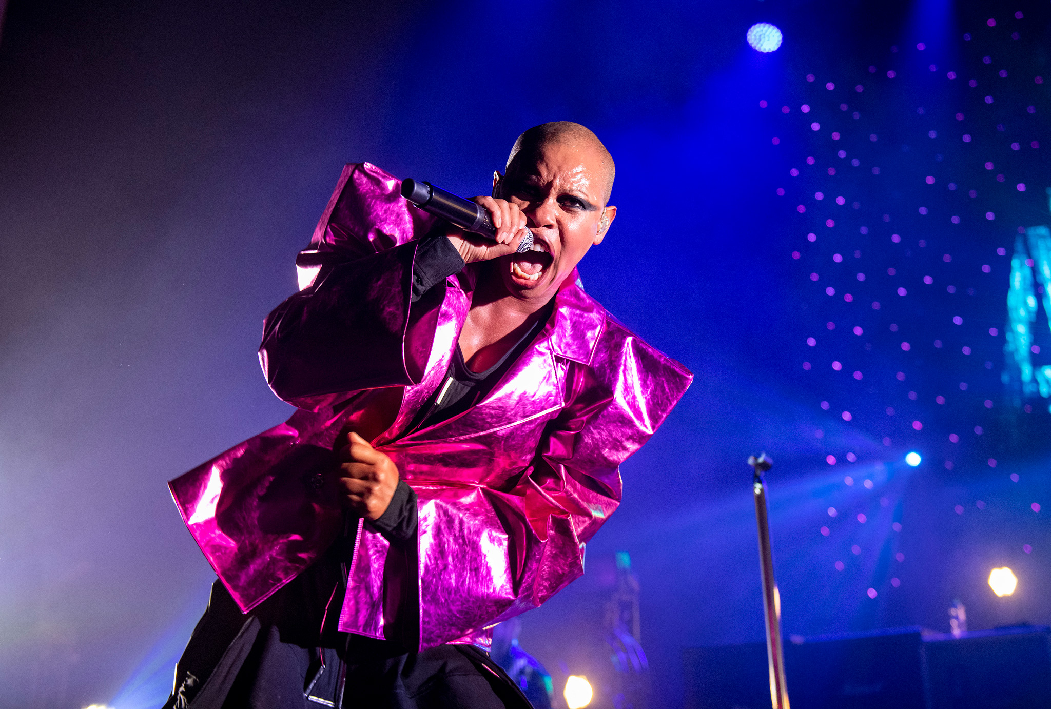 Skunk Anansie