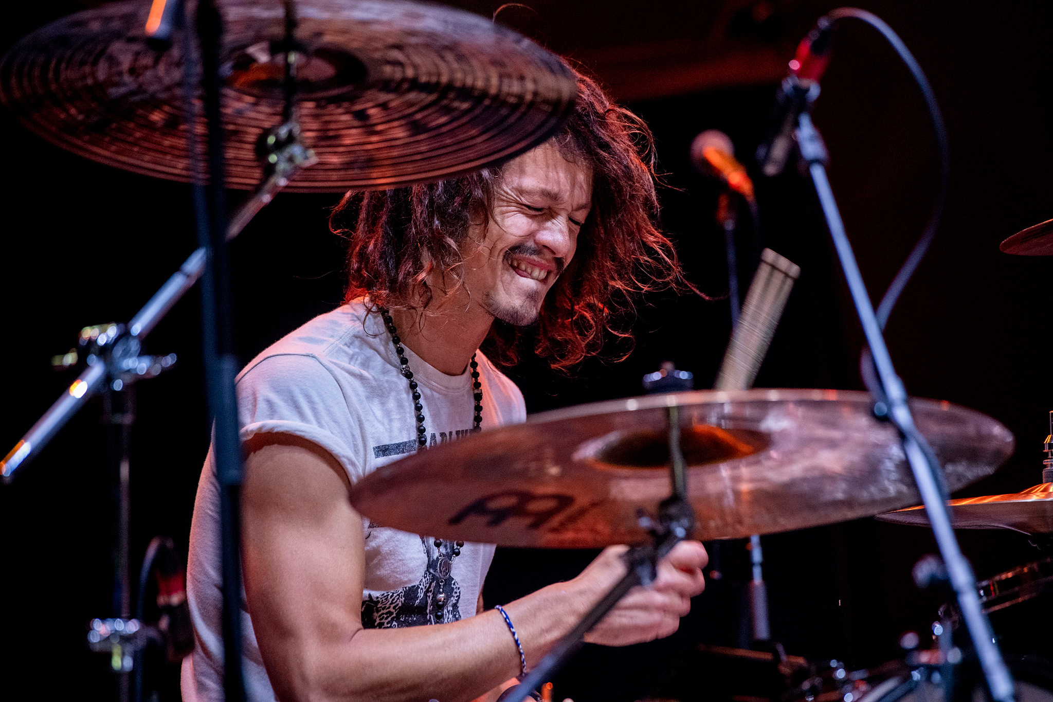 The Last Internationale