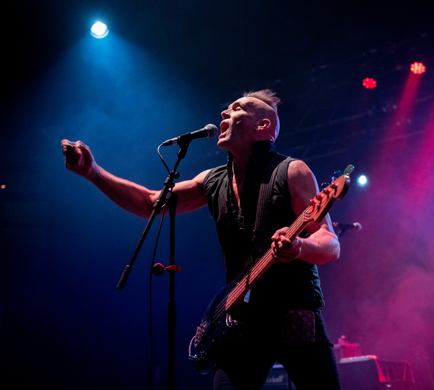 The Membranes
