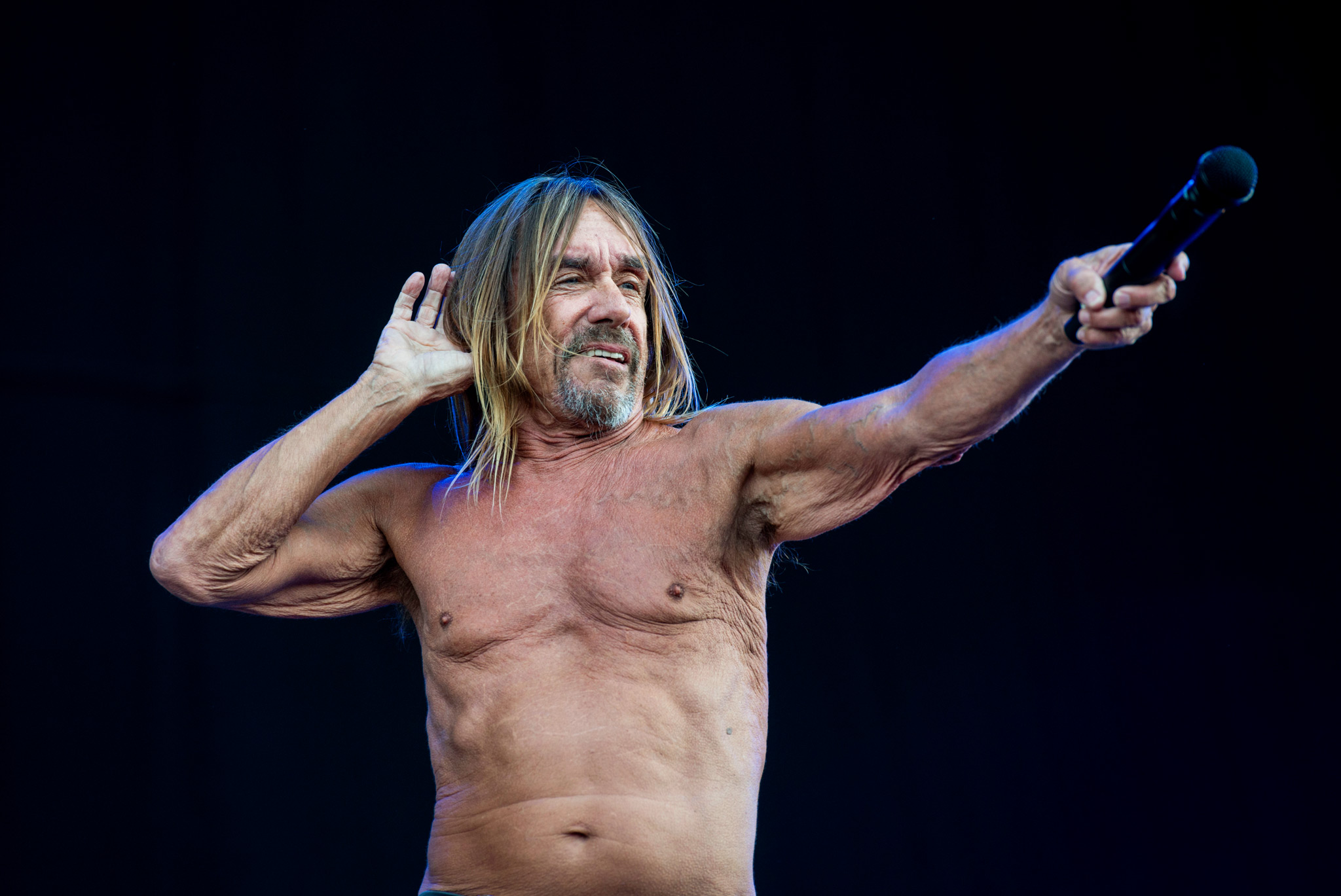 Iggy Pop - Isle Of Wight Festival